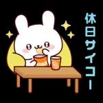 連絡白うさちゃん