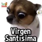 Virgen Santísima