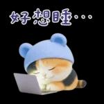 可愛小花貓超能幹的啦❤