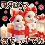 Healing Rabbit Winter