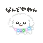 ぴかぴかわんわん