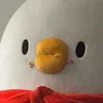 뭐 되는 베베와 멜롱이 짤.zip2