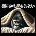 【冬】イケメンゴリラ