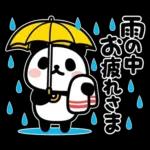 ぶなんなパンダ／お天気