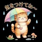 にゃんこたちの梅雨だより