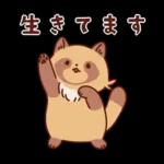 imananishiteru tanuki