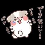 ふわふわシーズー 3歳児