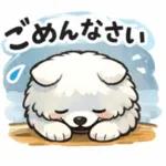 超かわいいサモエド犬の日常 普段使いに！