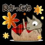 黒ねこの秋・冬便り