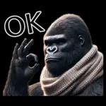 【冬】イケメンゴリラ