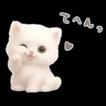 モフモフ白ネコ