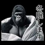 【冬】イケメンゴリラ