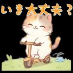 ぽかぽか春ねこライフ
