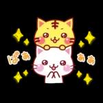 家族で使える☆にゃーにゃー団