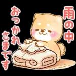 雨、梅雨、夏に使う❤️いやしばいぬ❤️柴犬