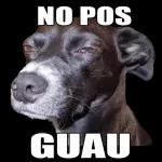 NO POS GUAu