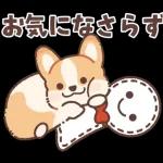 コーギーにとっての雨季と初夏