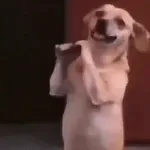 Envie saudações de bom dia para seu amigos👇🏻