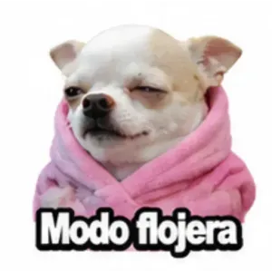 Modo flojera - getsticker.com