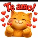 BOA TARDE!
