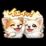 ブラン&プティ第2弾♡