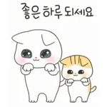 귀여운 새끼 고양이