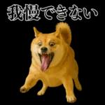 ガンギマリの柴犬＠エロ・日常会話