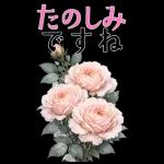 5月 春の花 大きくて見やすい挨拶スタンプ