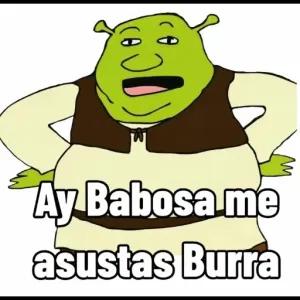 Ay Babosa me asustas Burra - getsticker.com