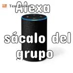 grupo 