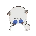 四毛與八毛 軟萌萌的小日常11