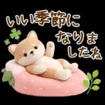 癒やしばいぬで春の日常スタンプ