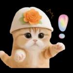 スコティッシュ猫 カラフル帽 夏 敬語