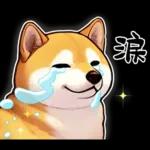 柴犬ワンダフル！！！！！