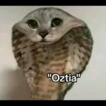 Este usuario está enfermo