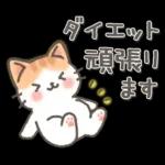 やさしい日常ことば♡ねこ