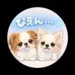 ブラン&プティ第2弾♡