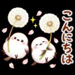 春のシマエナガ♪