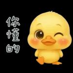 陰陽怪氣的小鴨鴨