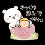 チロクマとアイビー　初夏