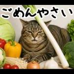 キジトラ猫飼いさんのダジャレ