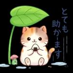 にゃんこたちの梅雨だより