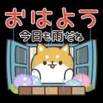飛びだす！お返事シバイヌくん（雨の日）