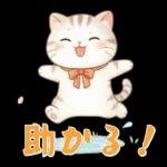 ぽかぽか春ねこライフ