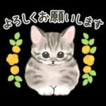 ふんわり可愛い☆猫たちのスタンプ