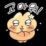 찌그러진 누룽쥐