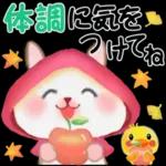 森の赤ずきんうさっぴ 「秋から冬」