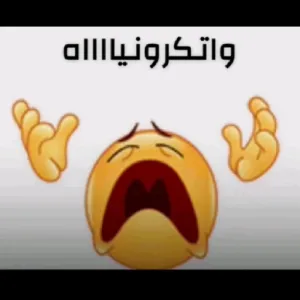 Te5ku8