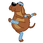 Festa e dança💃