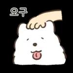 왕털뭉치 사모예드